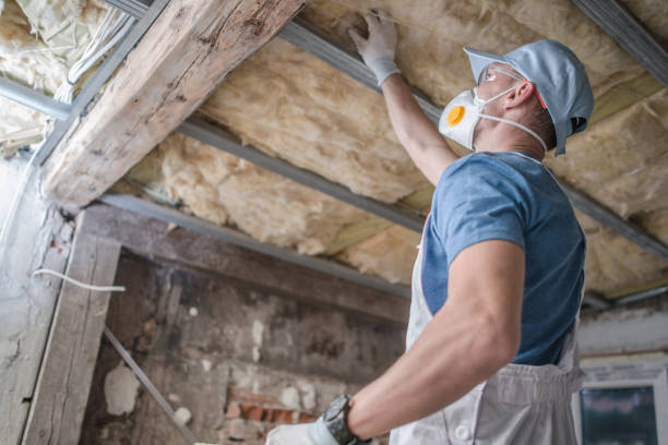 Best Energy Efficiency Solutions in St George, MO
