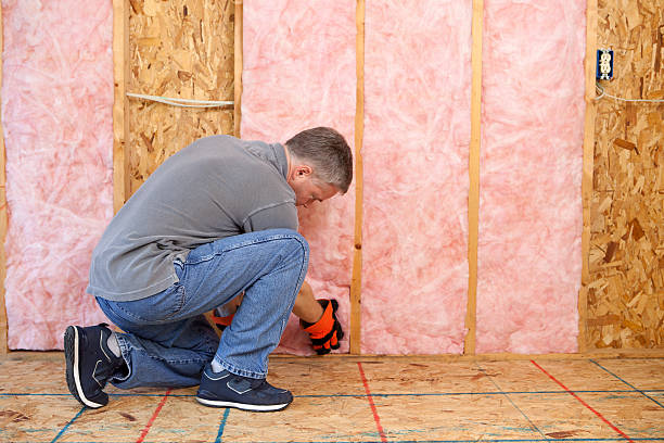 Best Insulation for Specific Applications in St George, MO