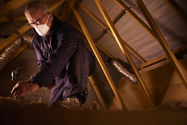 Best Insulation Maintenance and Repair in St George, MO