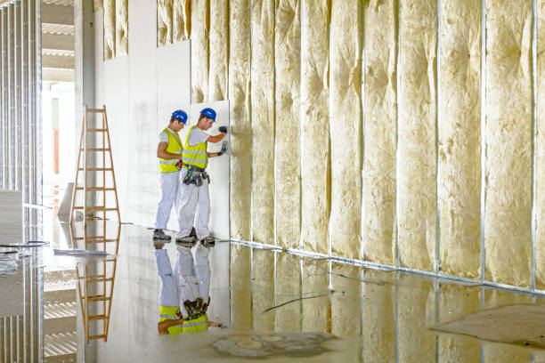 Best Commercial Insulation in St George, MO